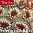 The Ex