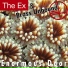 The Ex