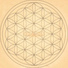 Doubutsu System