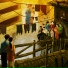 Kalika feat. Raghav Sachar, Angus Foster