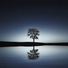 Spiritual Fitness Music, Massage Tribe, Relajante