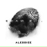 Alessiee