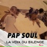 Pap soul