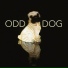 Odd Dog