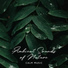 Natural Sounds Music Academ