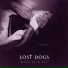 Lost Dogs