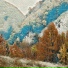 Radek K