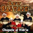 Ley Salvaje