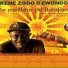 Rene Zogo D'Ewondo