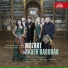 Baborák Ensemble, Radek Baborák