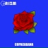 Grizm