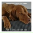 Dog Relaxation Piano