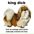 King Dick