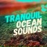 Yoga Ocean Sounds, Outside Broadcast Recordings