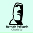 Romain Pellegrin