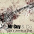 Mr Guy & Co