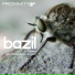 Bazil