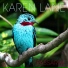 Karen Lane feat. Gareth Lockrane, Rob Luft