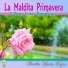 Martha Lucia Trejos