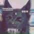 QEW