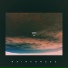 Rainforced