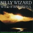 Silly Wizard