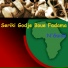 Seriki Godje Boue Fadama feat. Group Tafi Bac