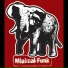 Minimal Funk