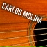 Carlos Molina