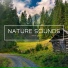 Nature Sounds, Sounds Of Nature