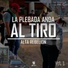 Alta Rebelion