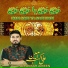 Ali Akbar Ameen