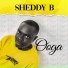 Sheddy B