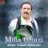 Ameer Hussain Qalandari