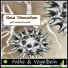 Falke & Vogelbein feat. diktor Tsoy