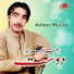 Ameer Murad