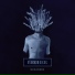 BR01HER
