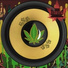 Bandzzi