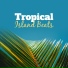 Hawaiian Music