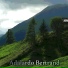 Adalardo Bertrand