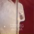 Izeberg
