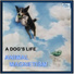 Animal Magnetism feat. Perry Danos