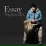Essay