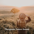 Zen Soothing Sounds of Nature