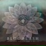 Bloodlash
