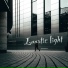 Lunatic light