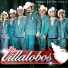 Los Villalobos