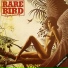 Rare Bird 1969 Rare Bird