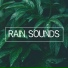 Rain Sounds