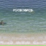 PSYCOTROPICO